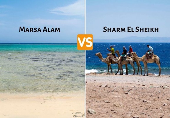 Come scegliere il periodo migliore per una vacanza a Marsa Alam?